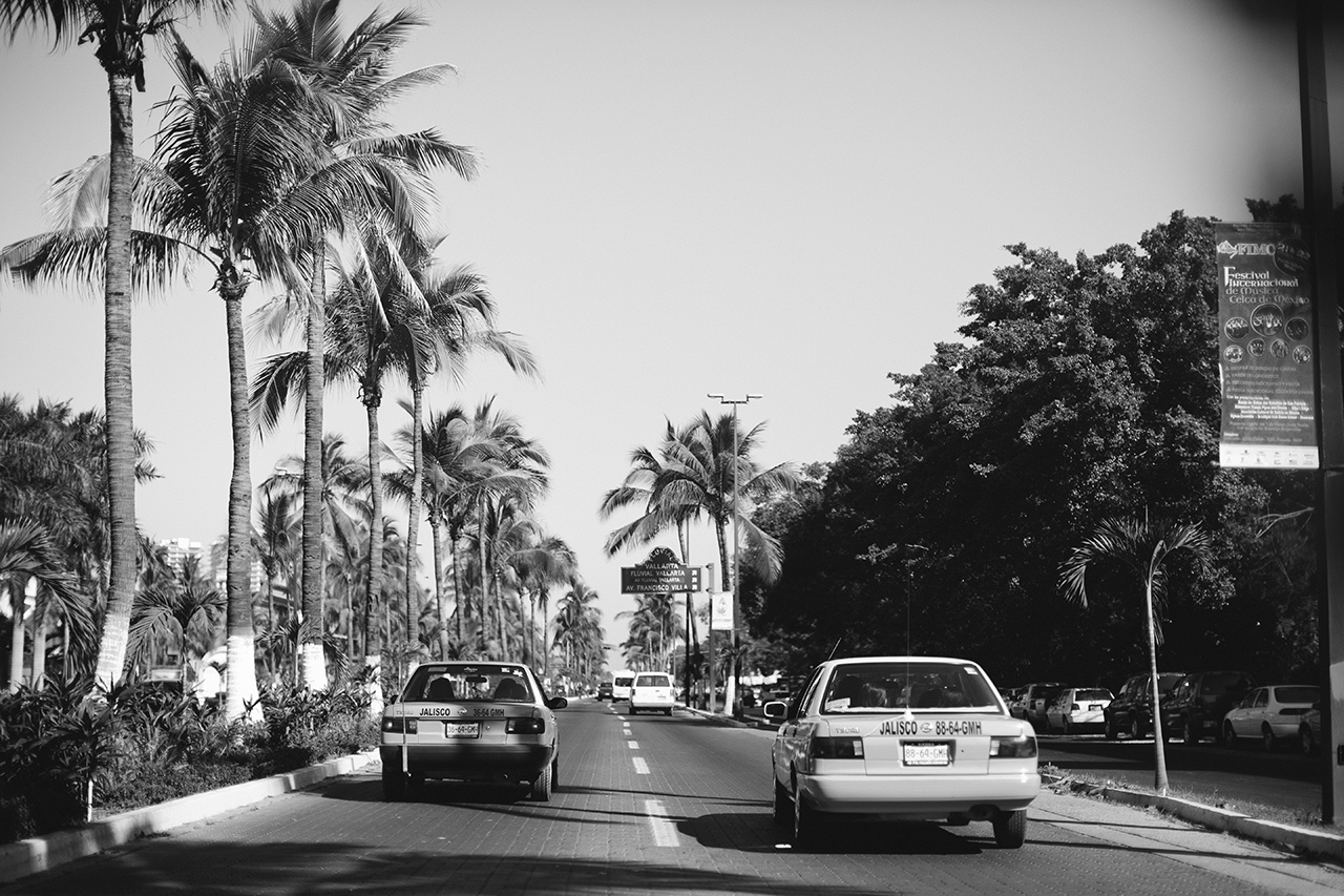 Puerto Vallarta Wedding
