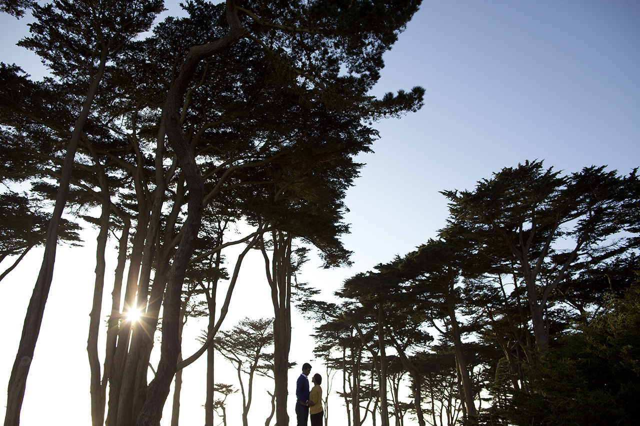 sutro baths engagement session