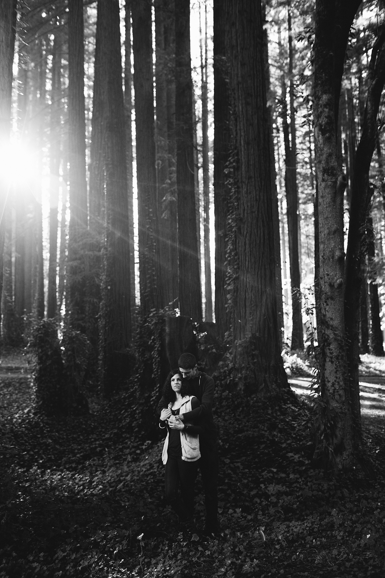 sonoma coast state park engagement photos