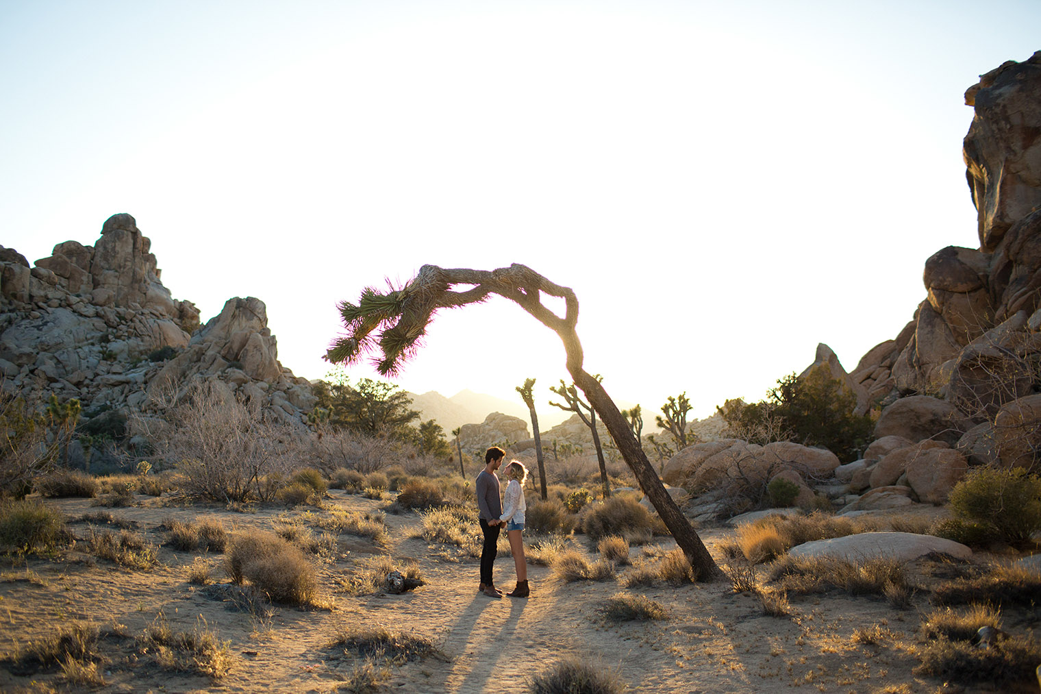 joshua tree engagement photos _113