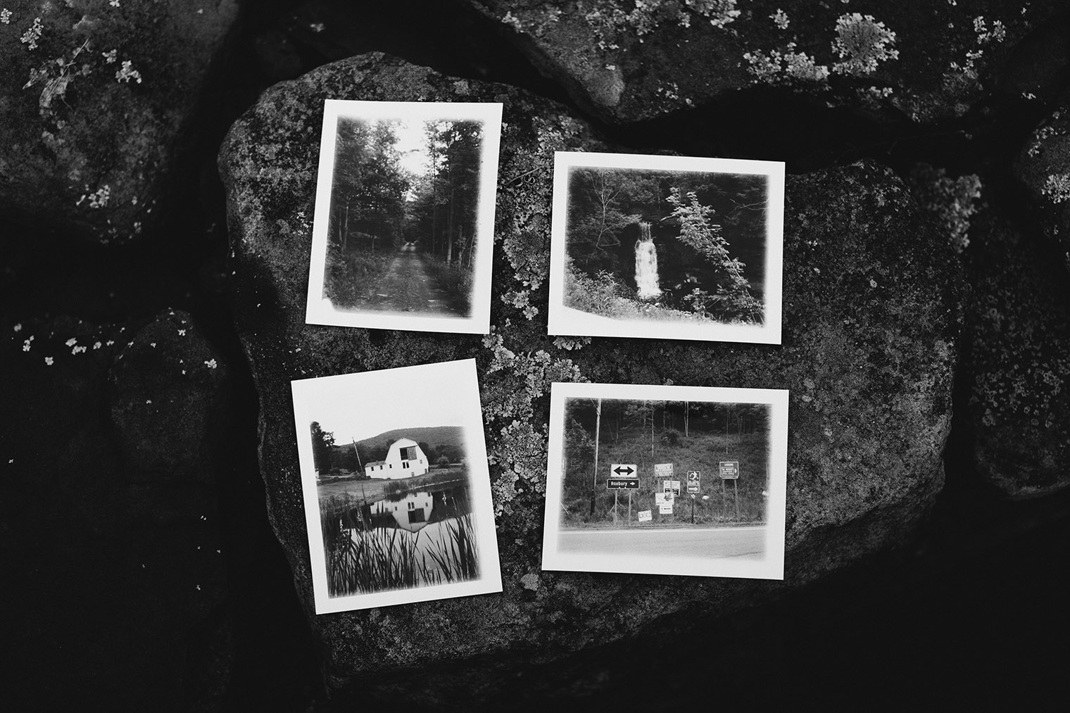 polaroids land camera 360 
