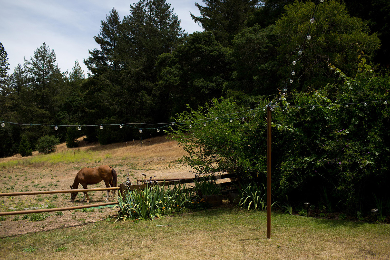 Relais Du Soleil Wedding