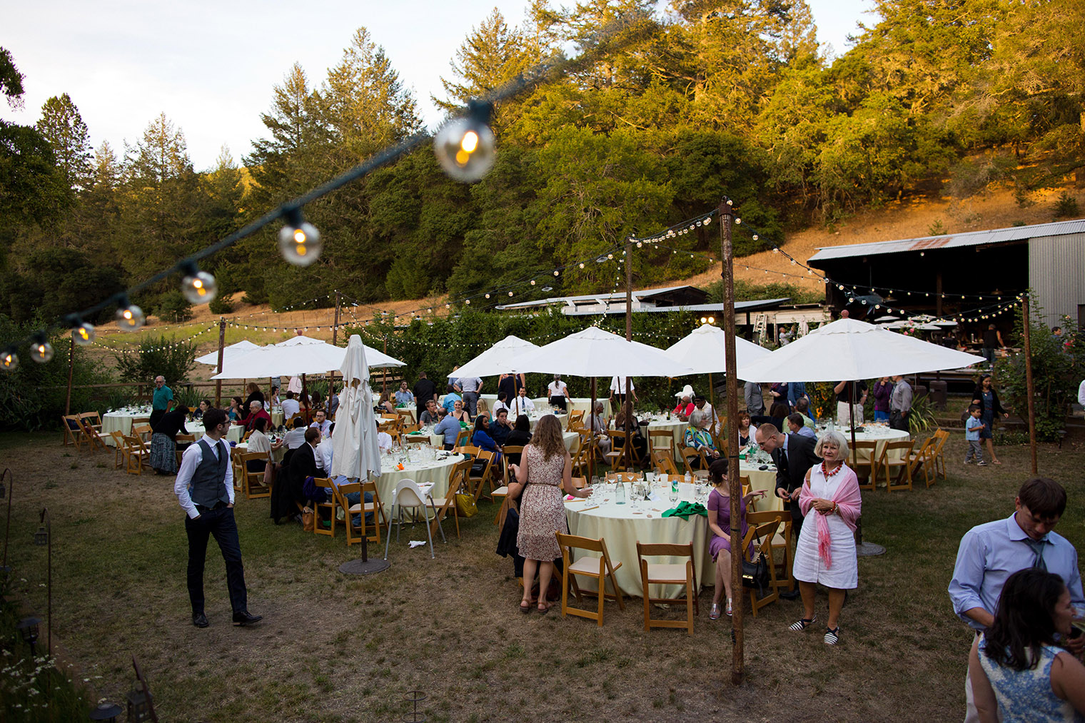 Wedding__952