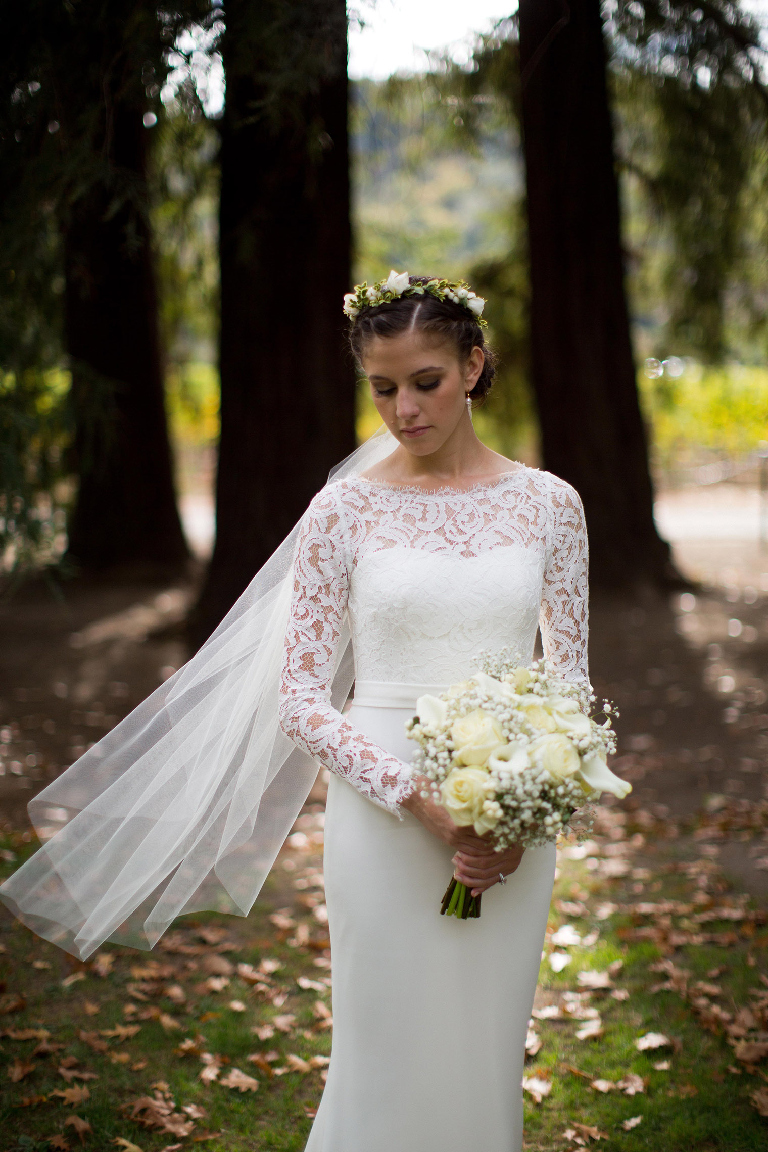 bride portrait at charles krug winery