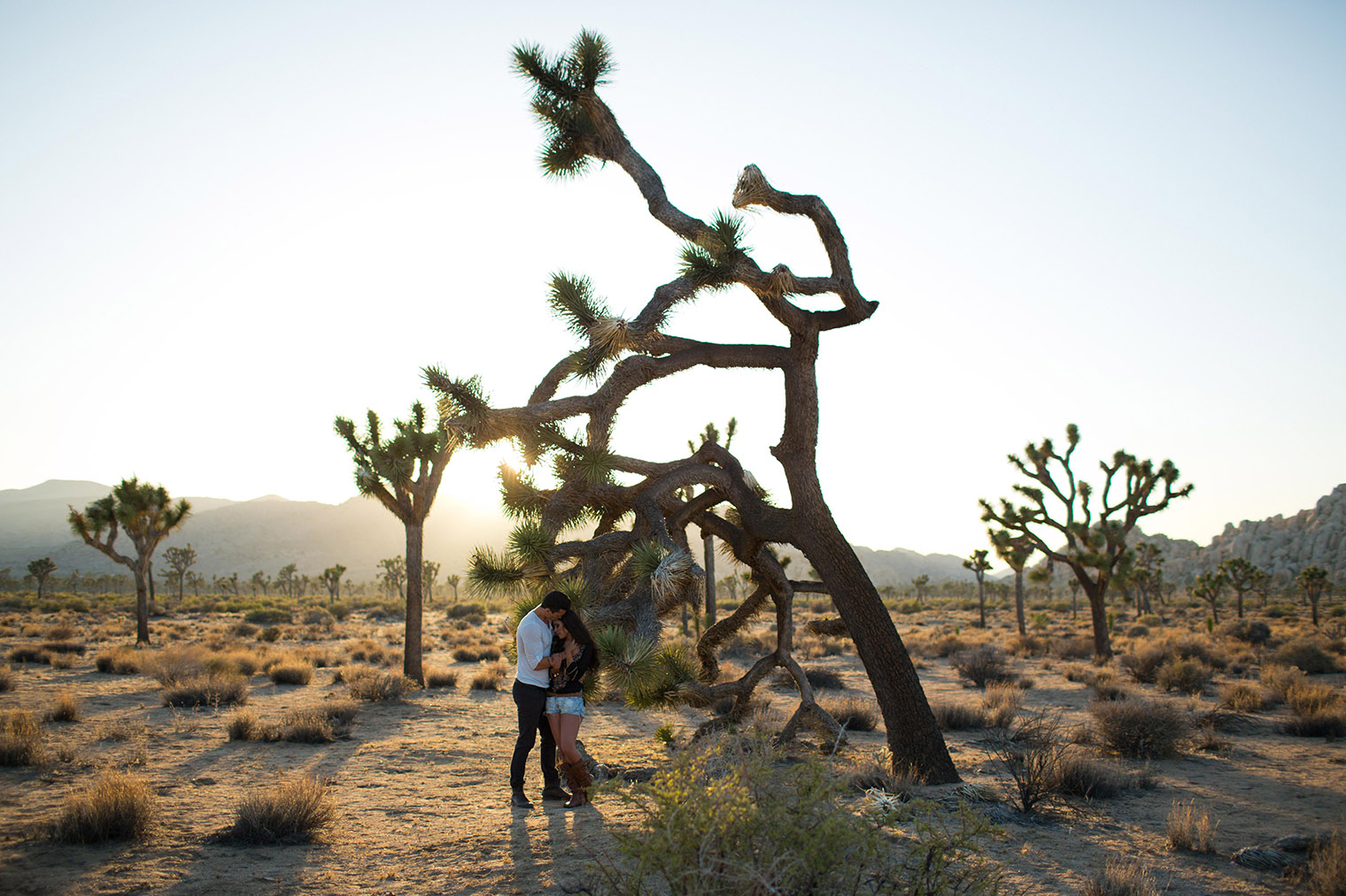 joshua tree engagement session_164
