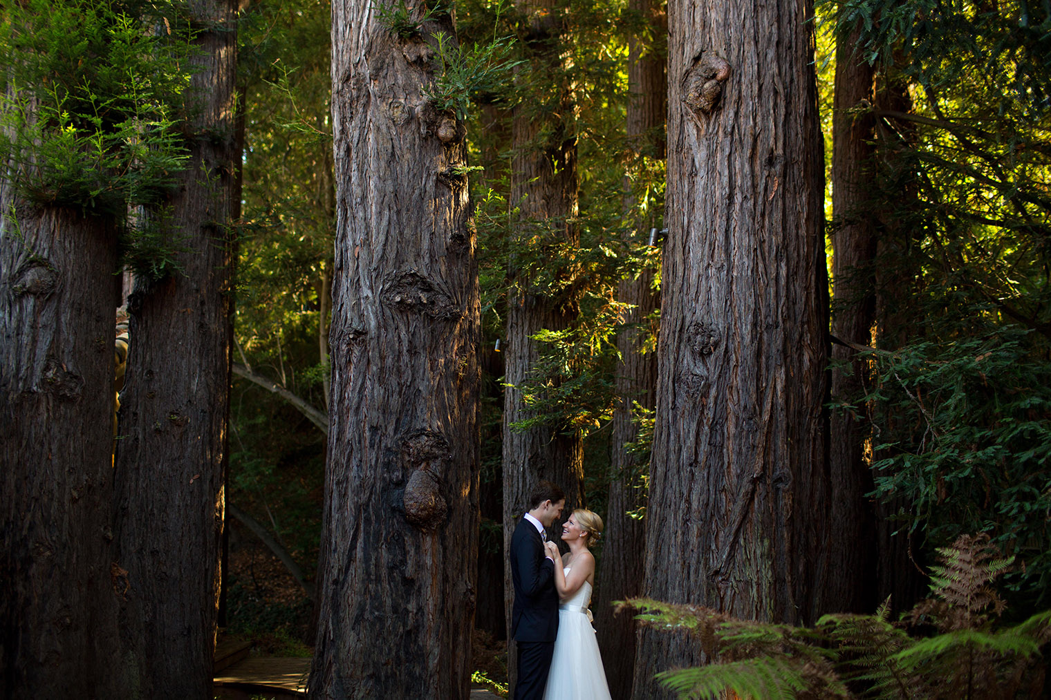 Outdoor Art Club Wedding in Mill Valley