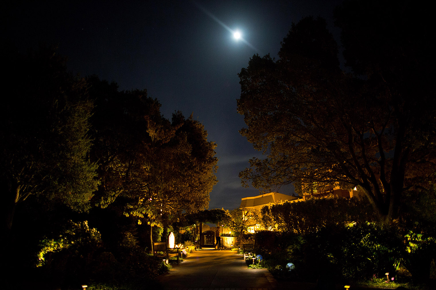 mill valley outdoor art club wedding