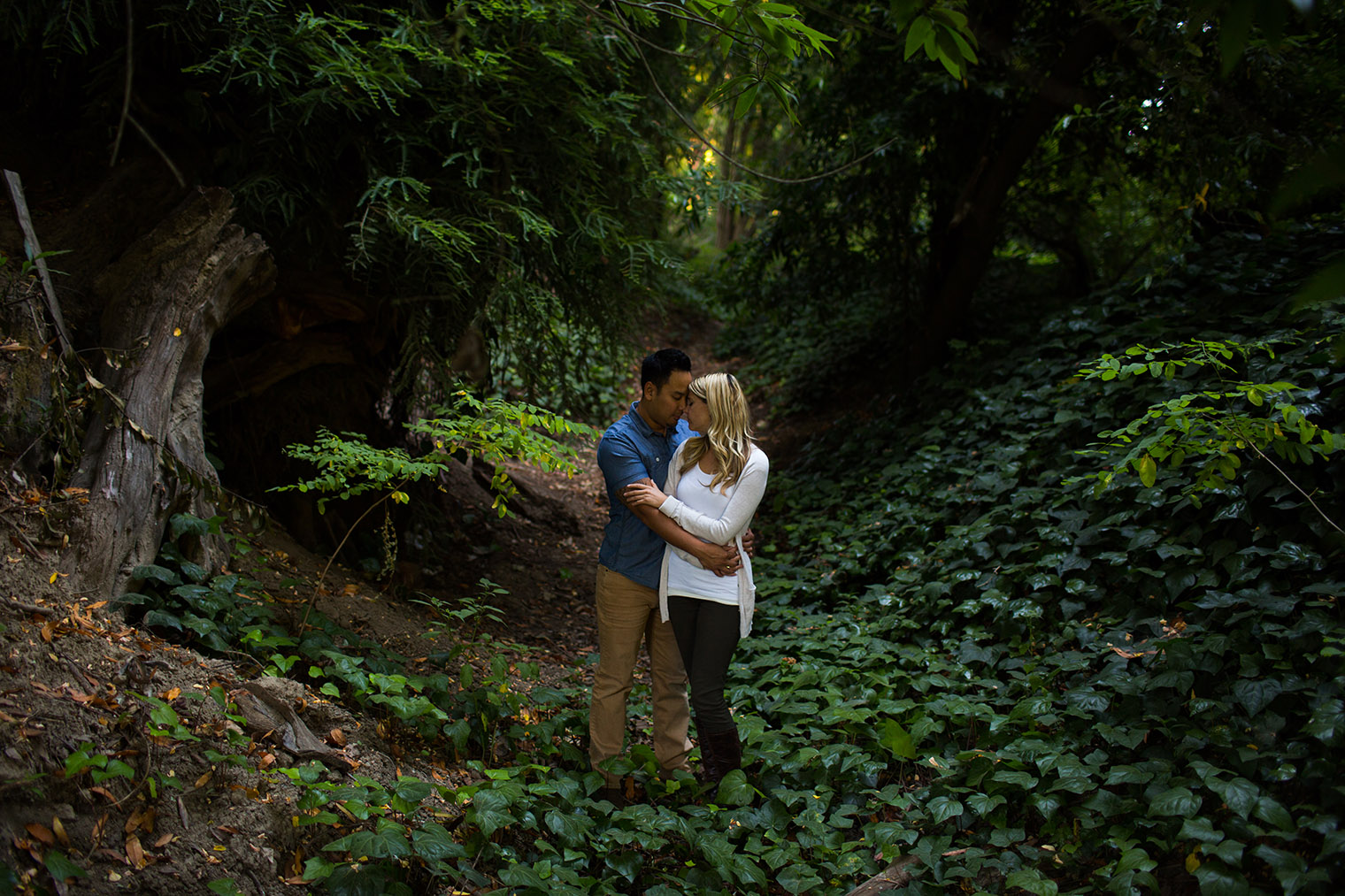 Sonoma Coast State Park Engagement Session