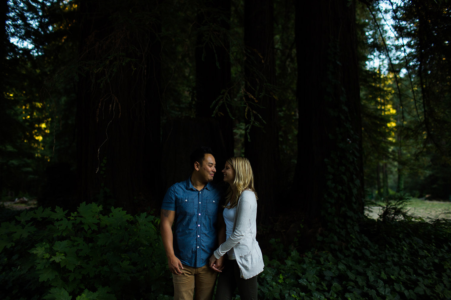 wedding photographer located in santa rosa, ca