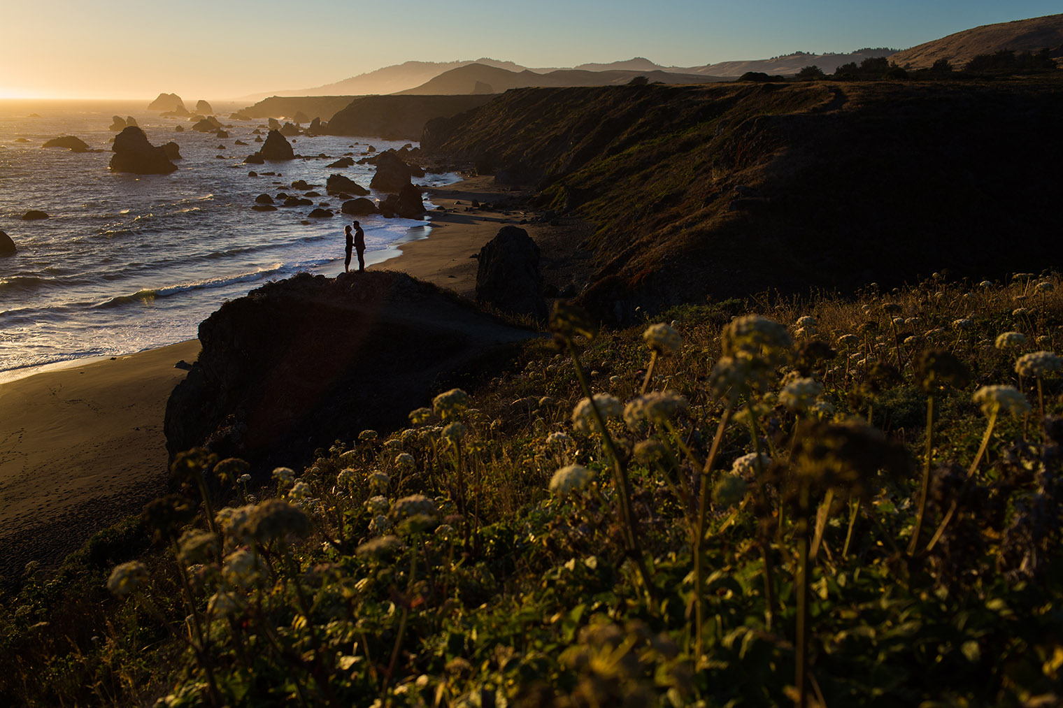 sonoma coast state park engagement photos at sunset
