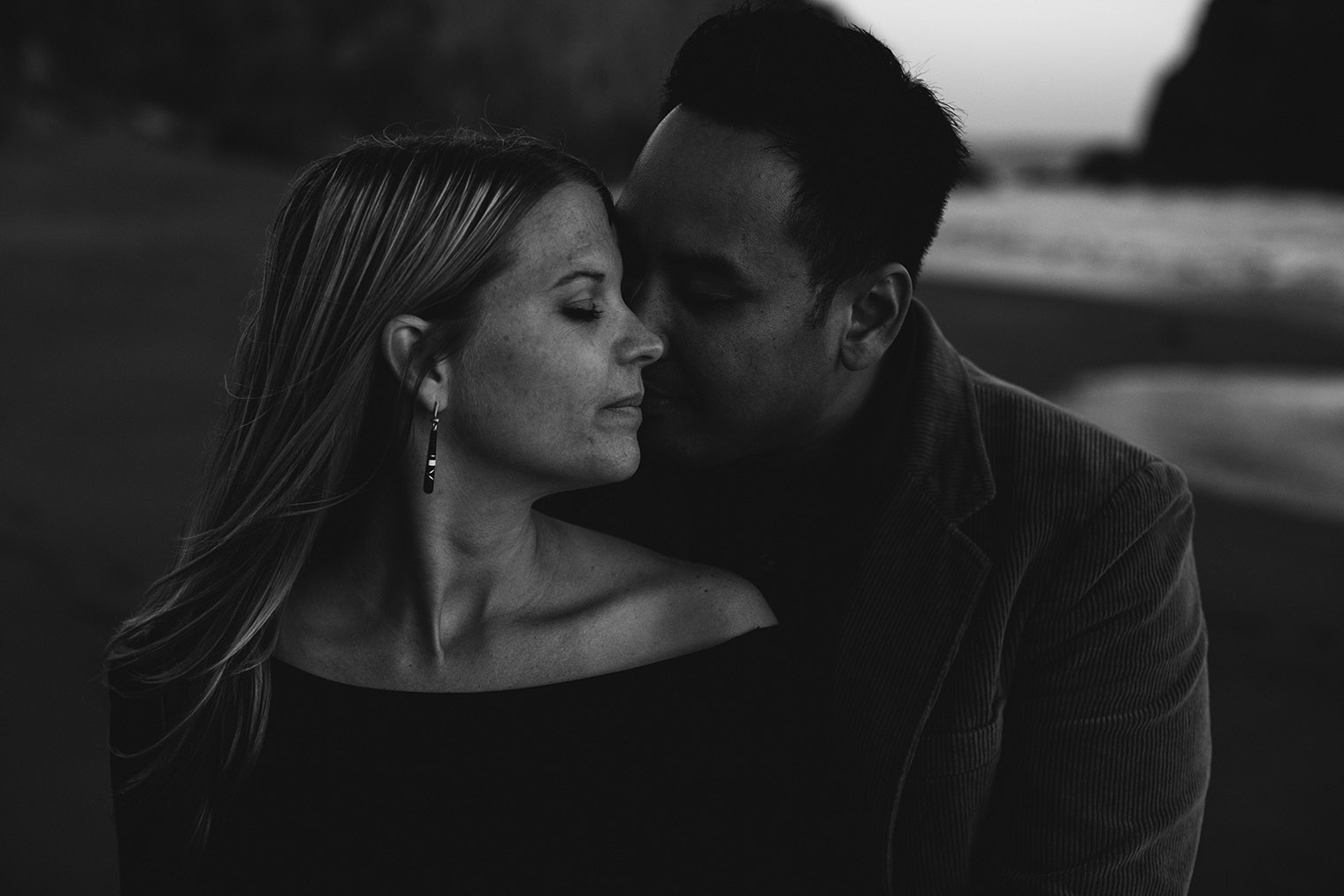 sonoma coast state park engagement session