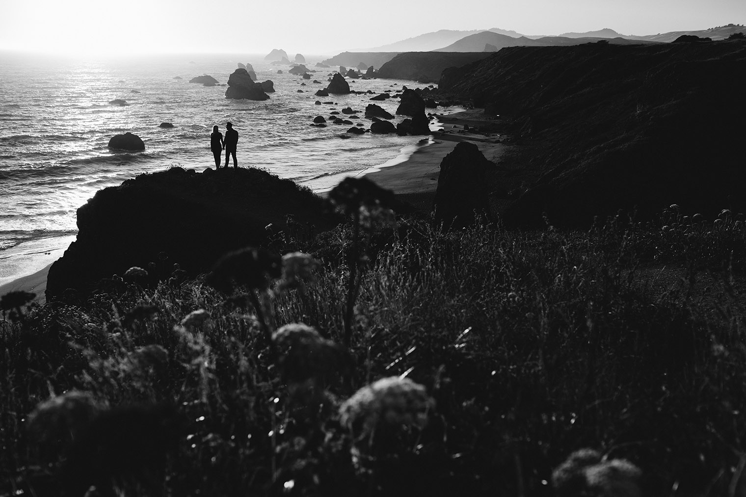 engagement photos at sonoma coast state park
