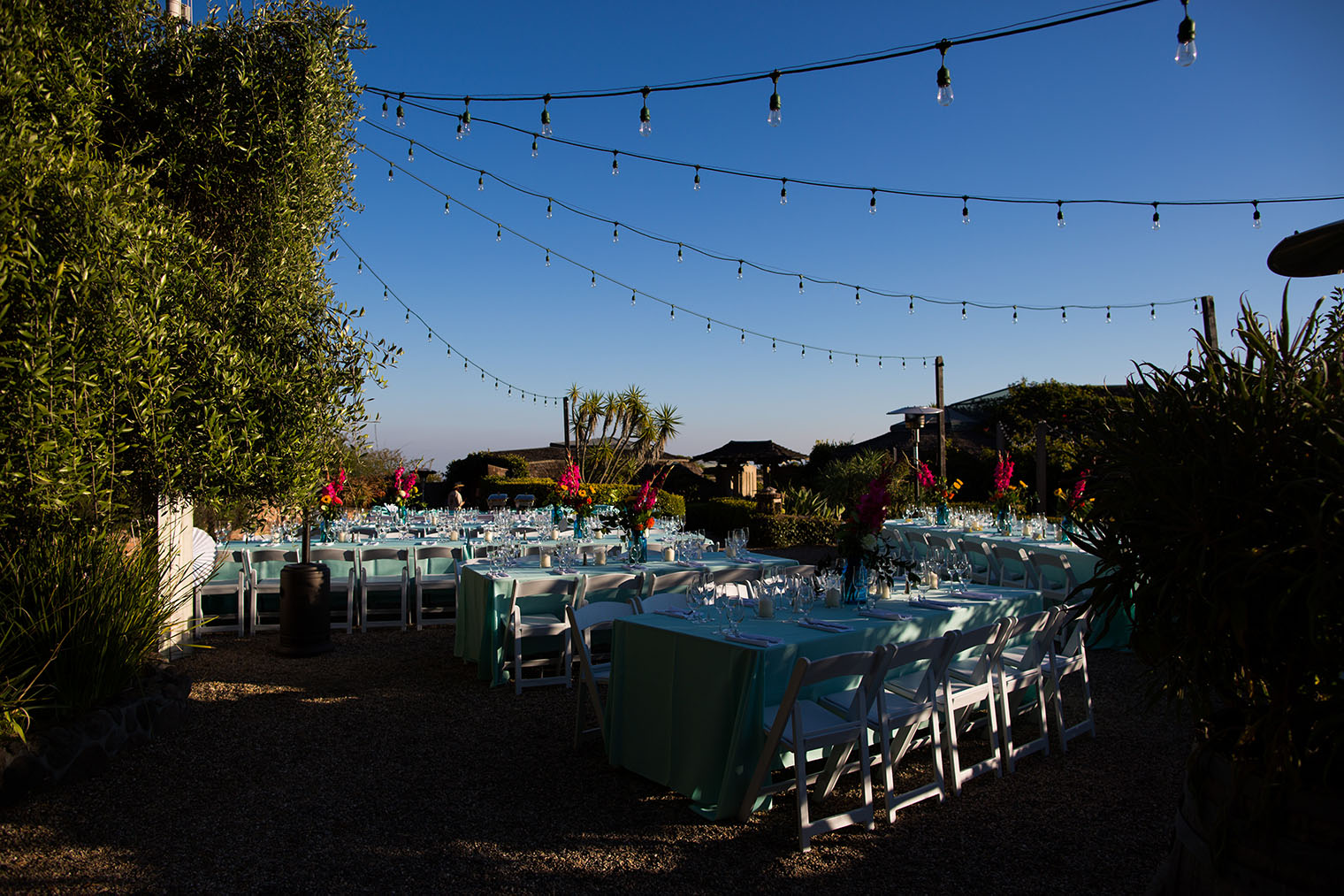 San Francisco Wedding Photographer