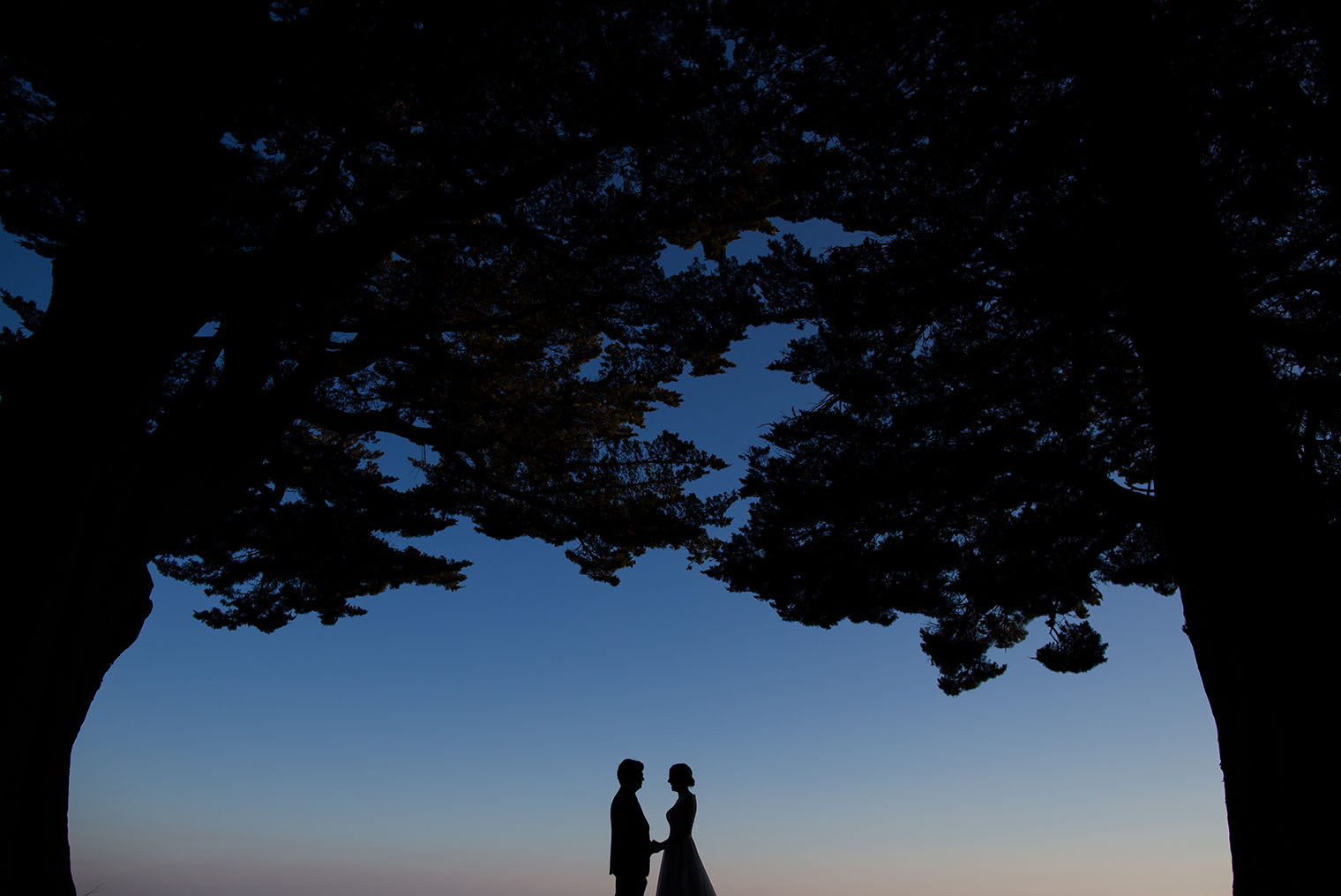 San Francisco Wedding Photographer