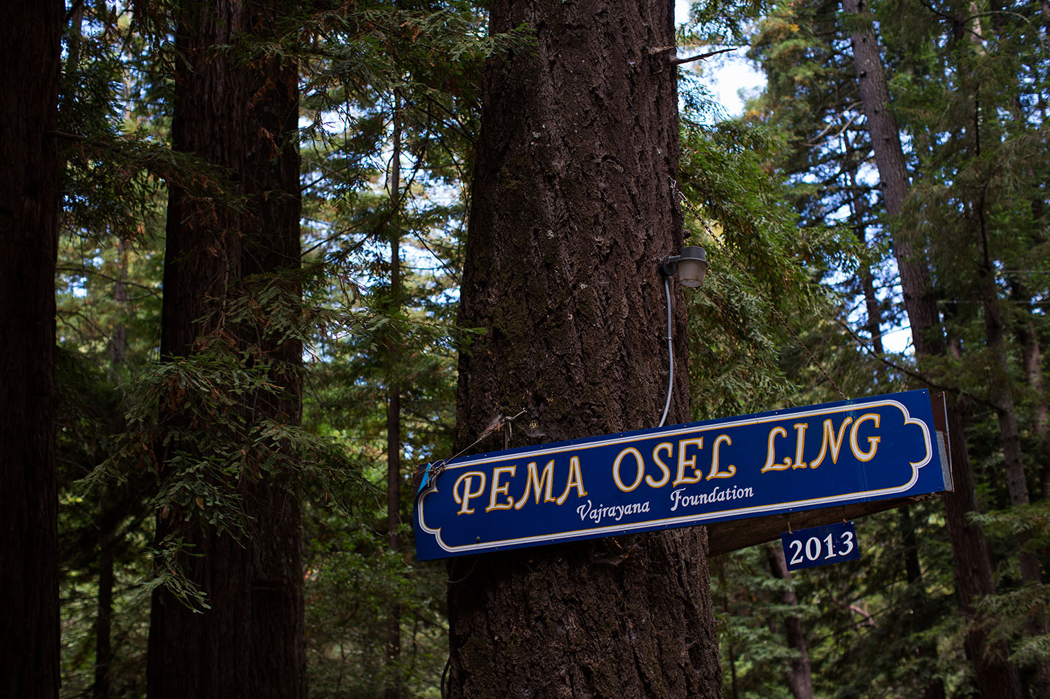 Pema Osel Ling Wedding