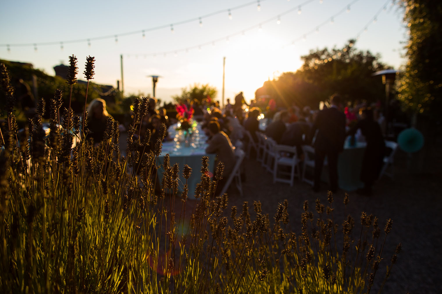 San Francisco Wedding Photographer