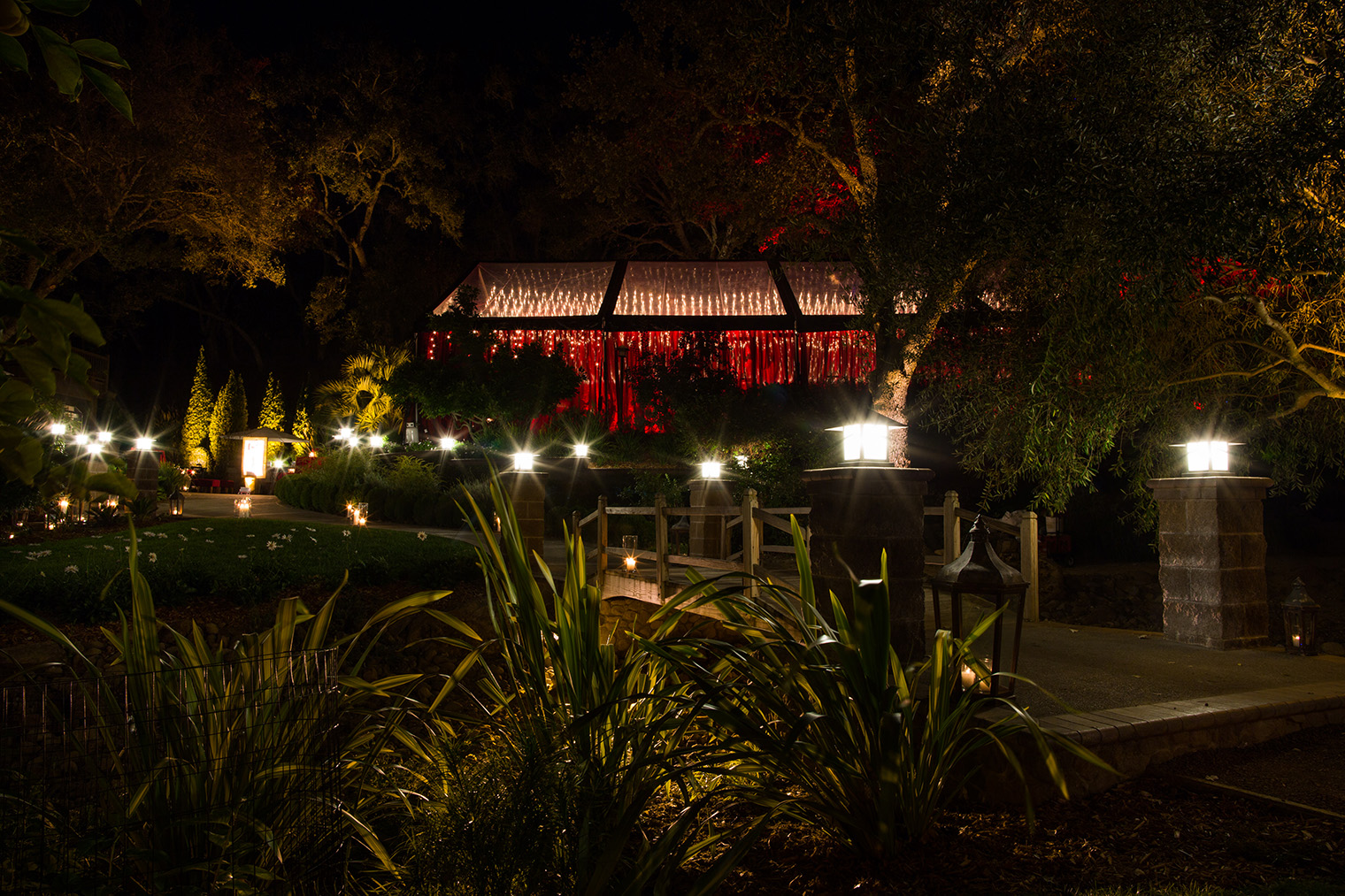 Backyard Sonoma Wedding 
