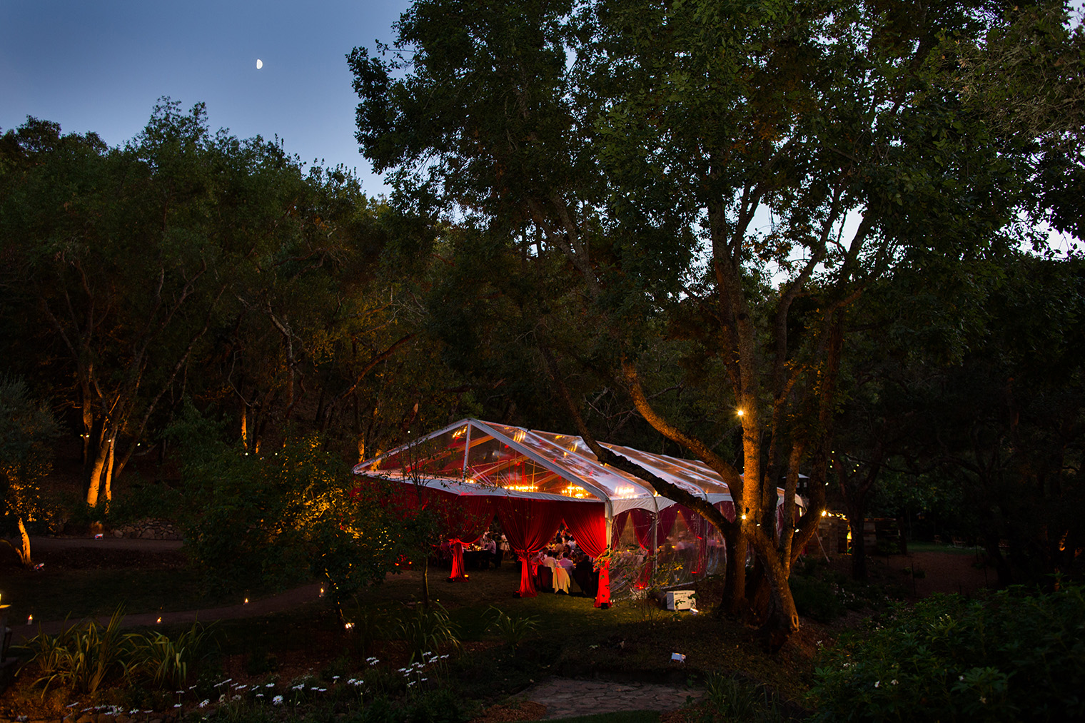 Backyard Sonoma Wedding 