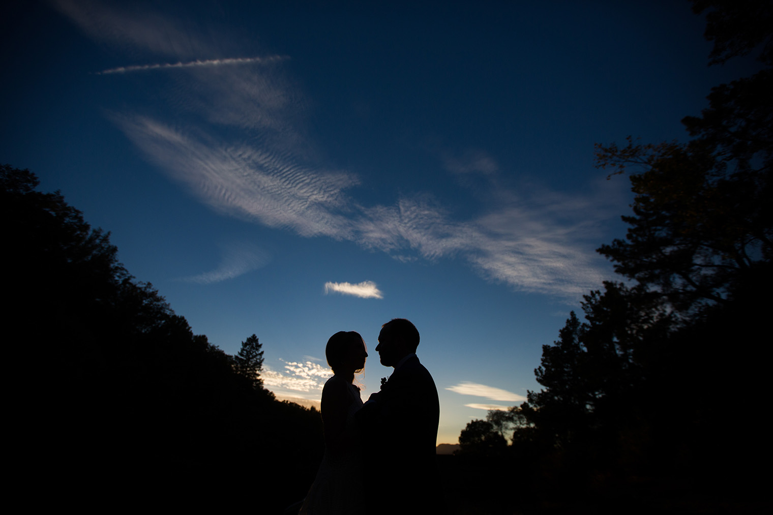 Backyard Sonoma Wedding 