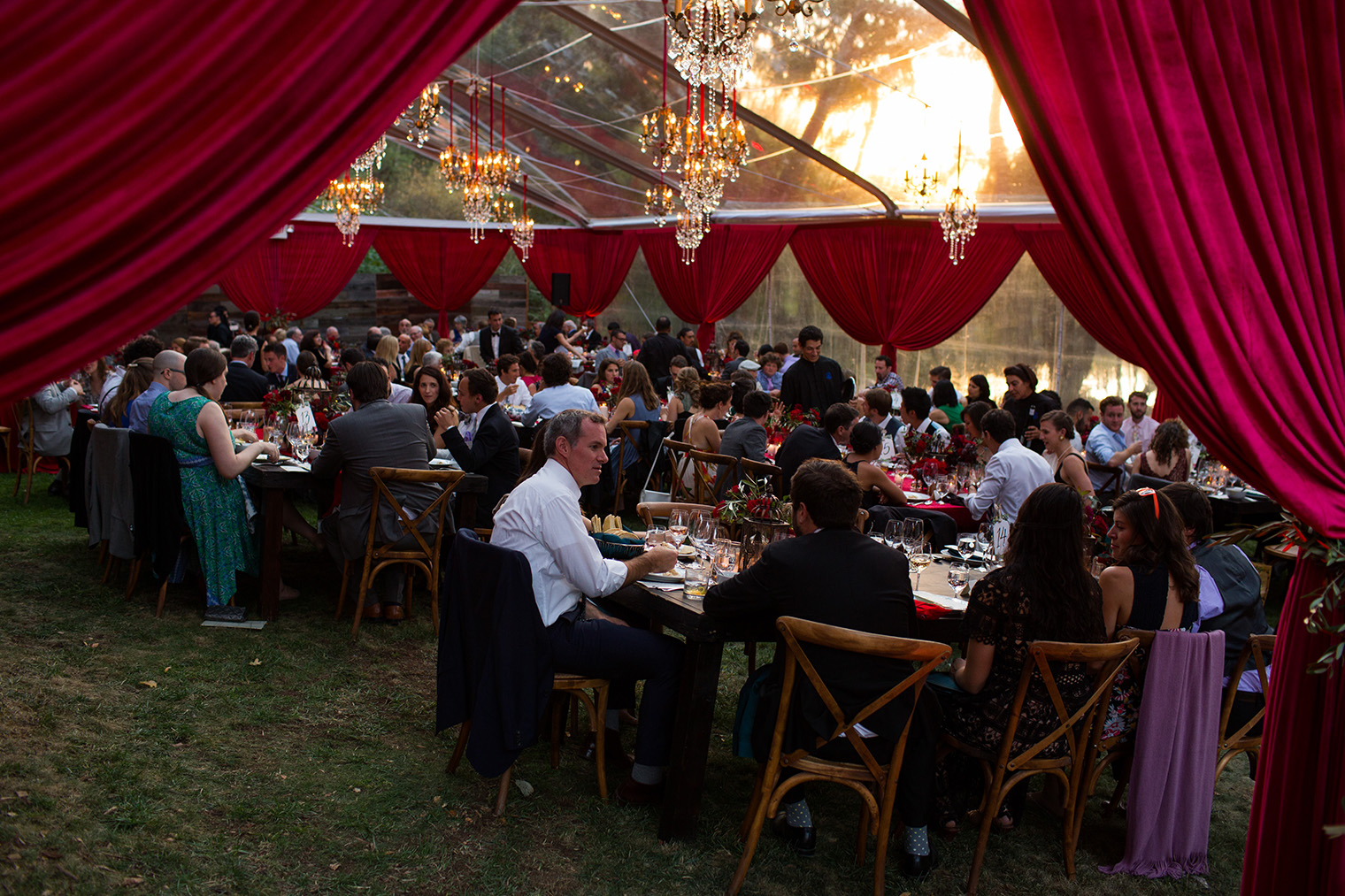 Backyard Sonoma Wedding 