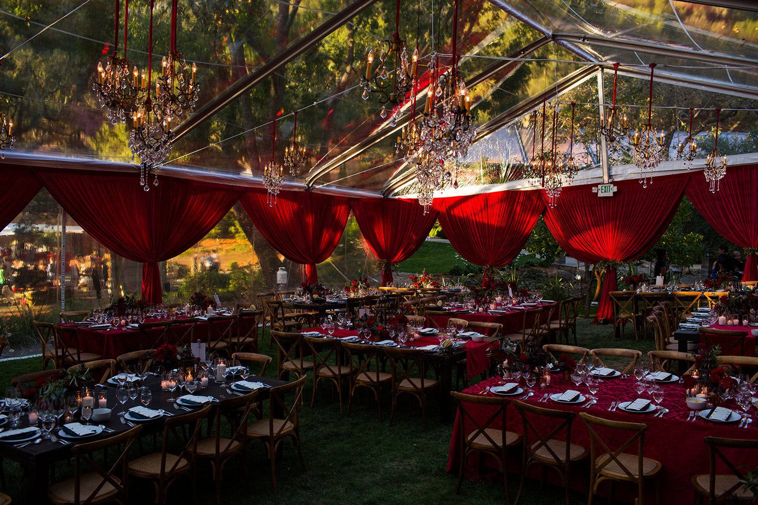 Backyard Sonoma Wedding 