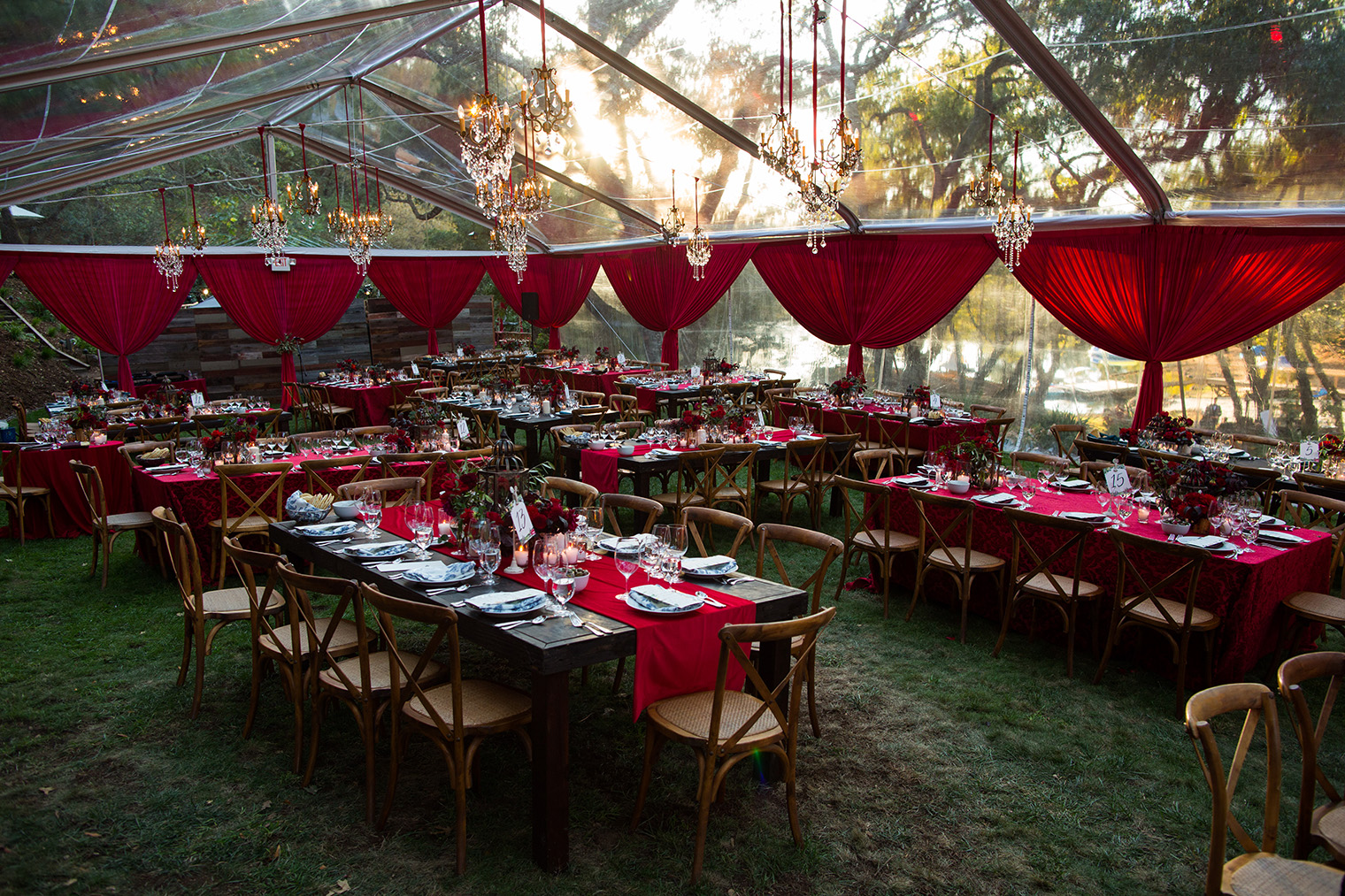 Backyard Sonoma Wedding 