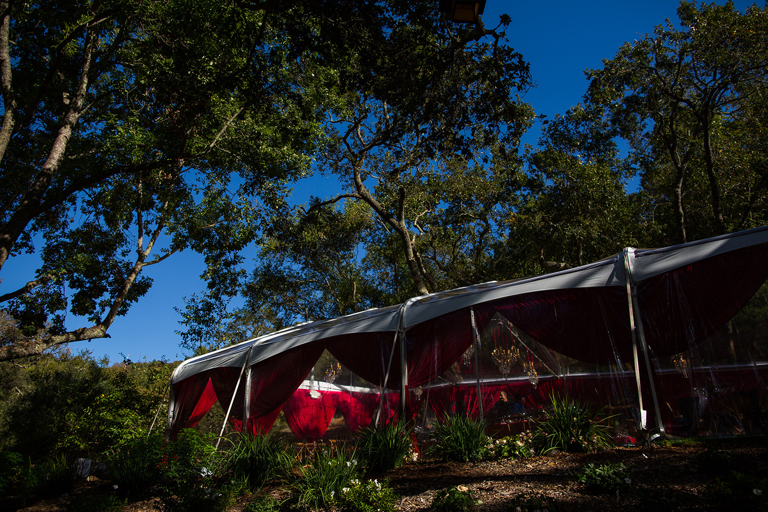 Backyard Sonoma Wedding