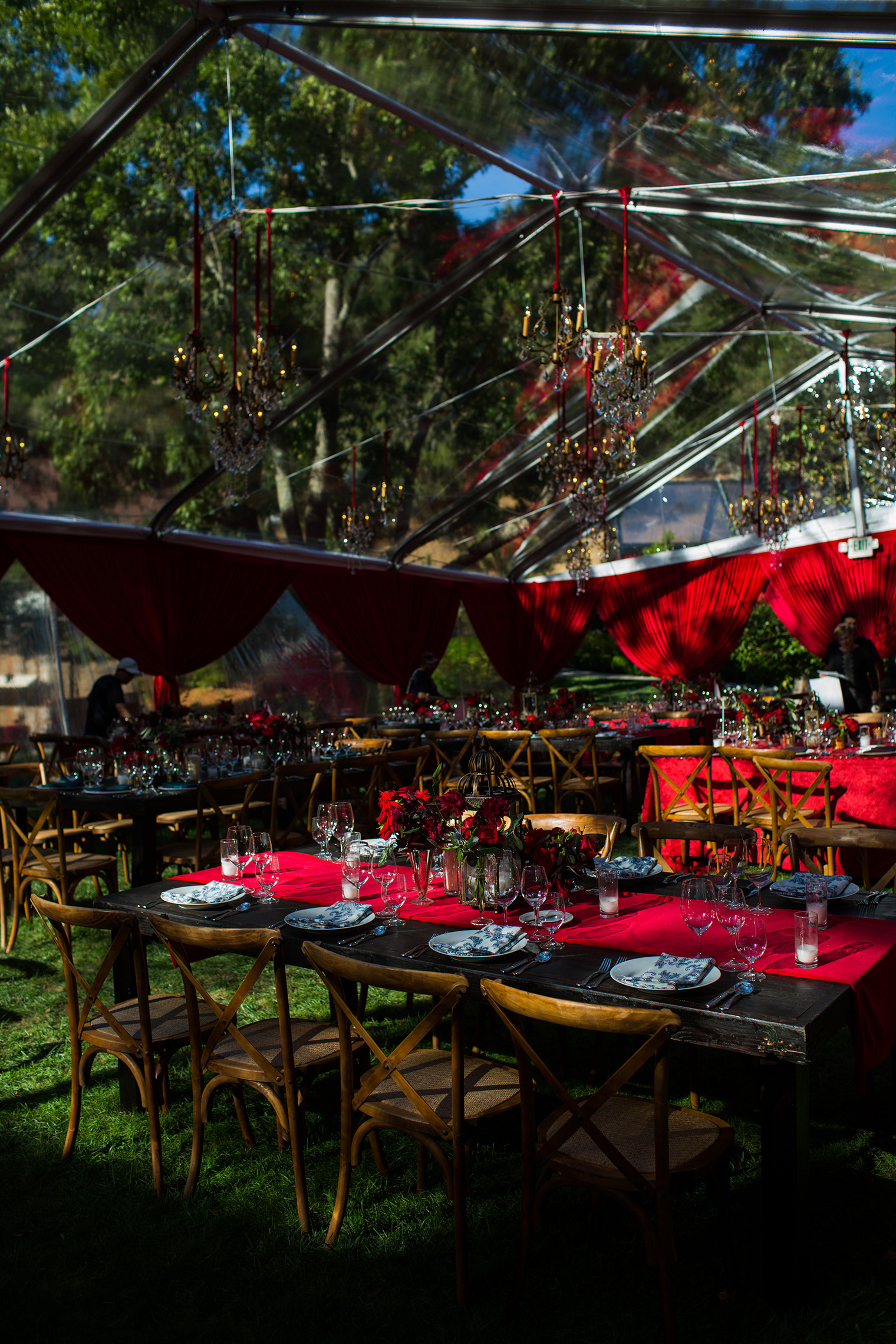 Backyard Sonoma Wedding Photographer