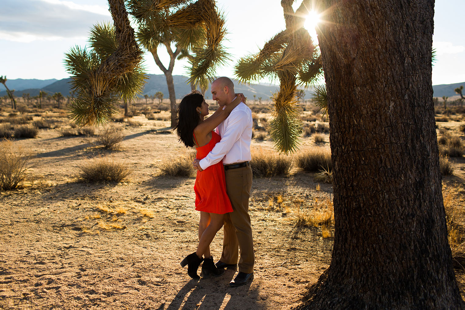 Joshua Tree National Park Engagement Photos