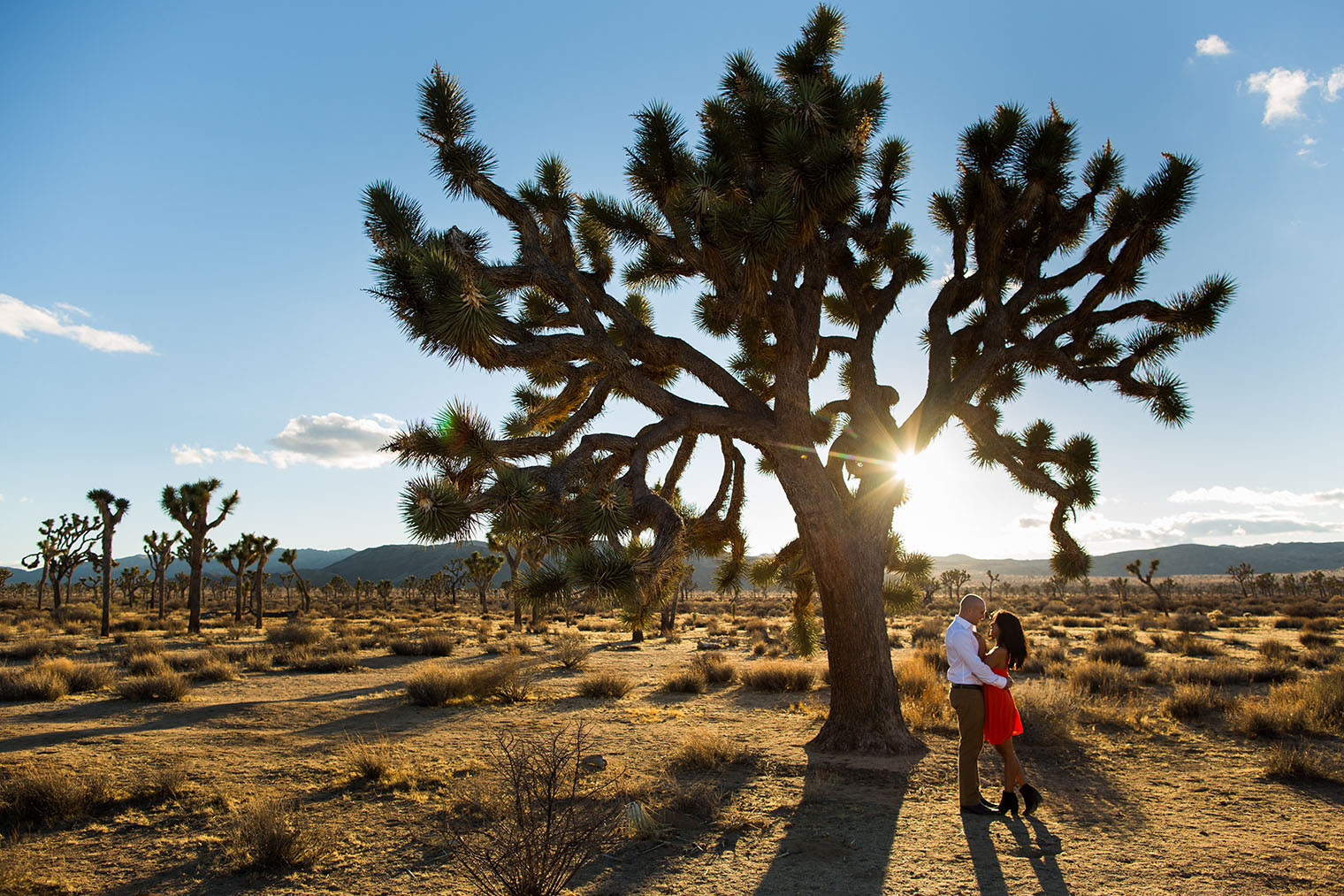 Joshua Tree National Park Engagement Photos