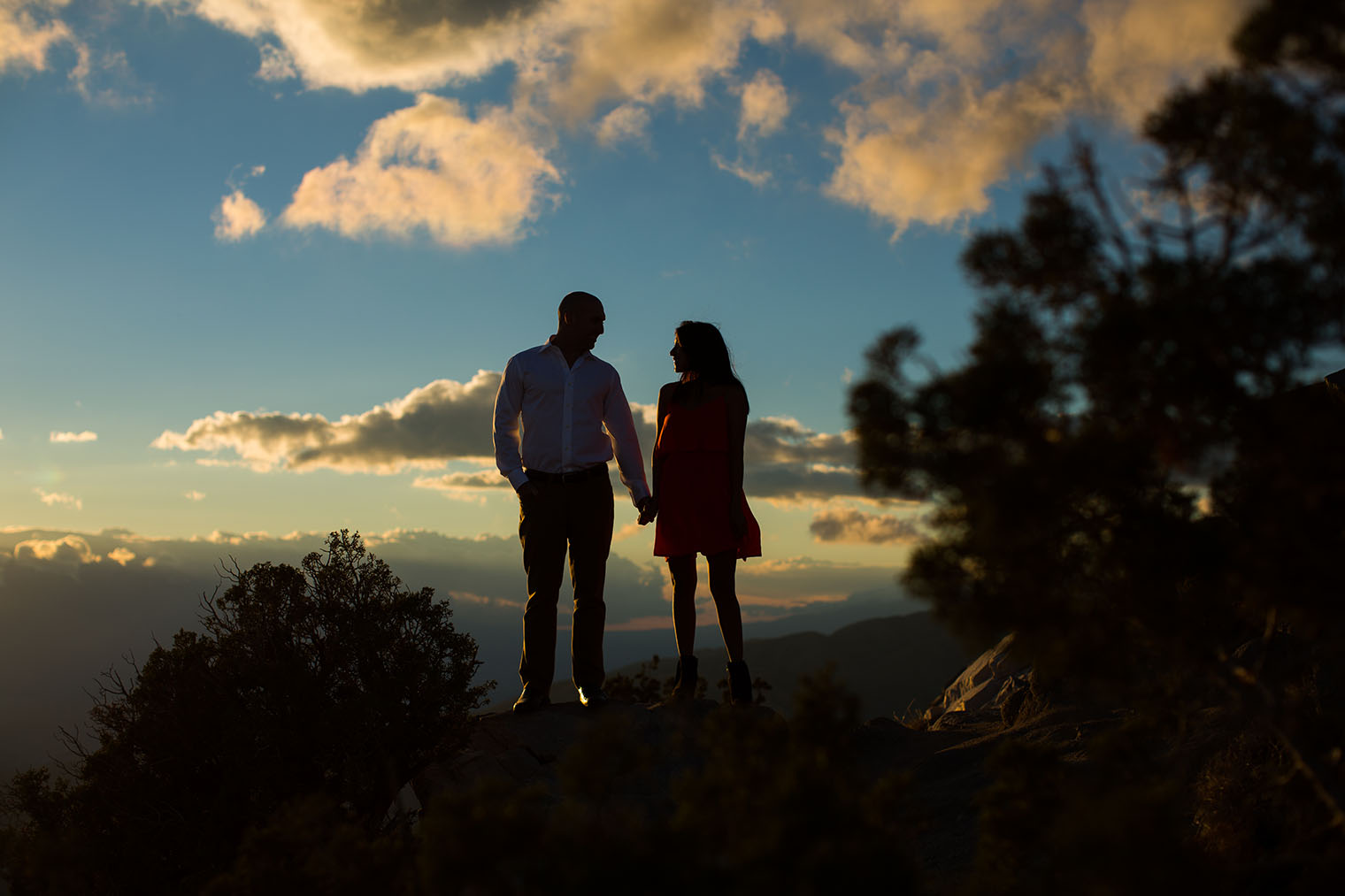 Joshua Tree National Park Engagement Photos