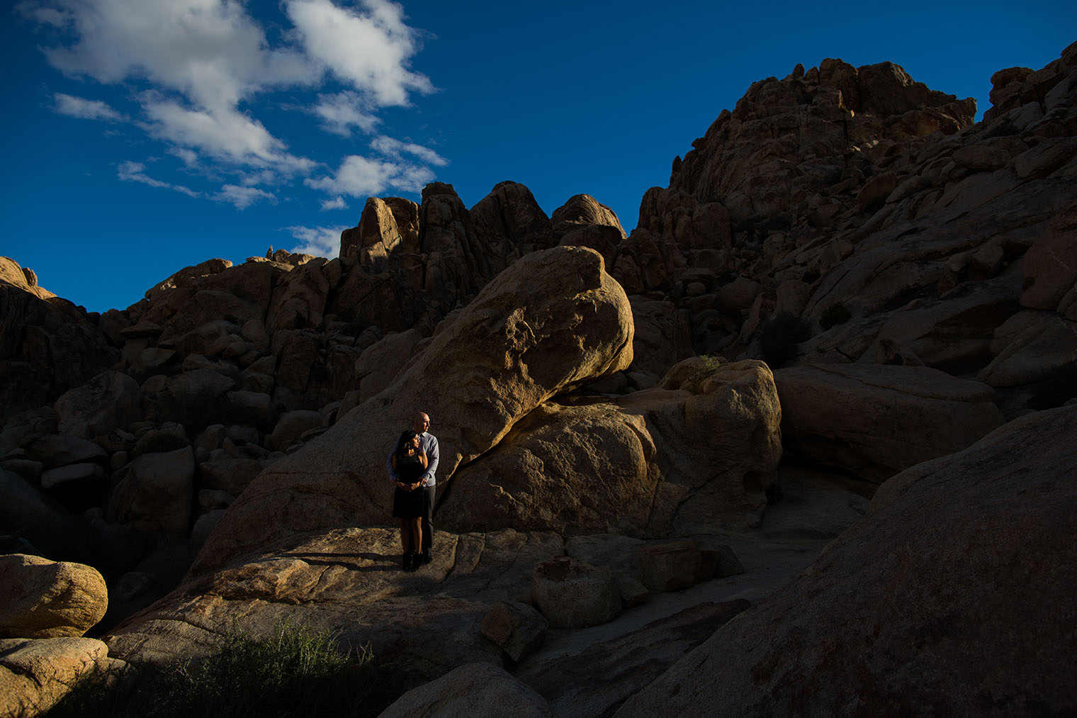 Joshua Tree National Park Engagement Photos