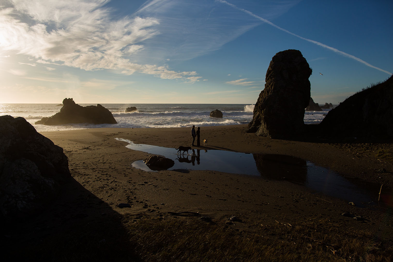 Sonoma Coast State Park Wedding Photographer