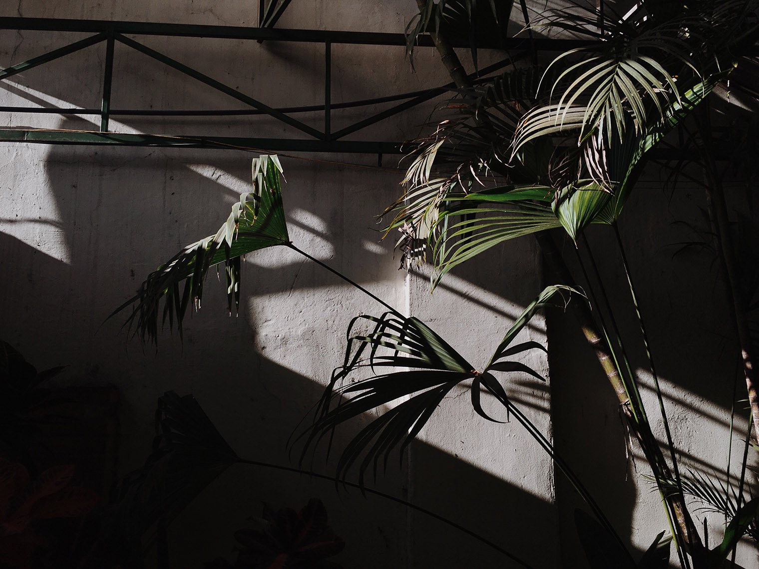 Costa Rica Wedding Photographer