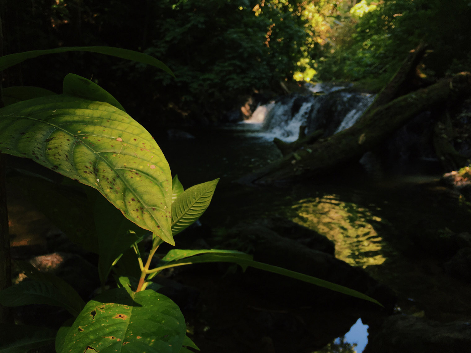 Costa Rica Wedding Photographer