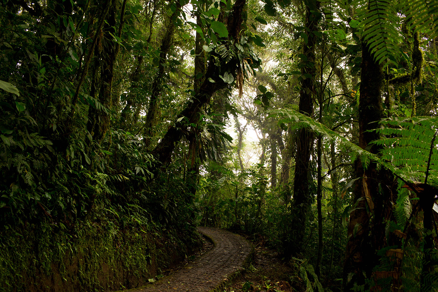 Costa Rica Wedding Photographer