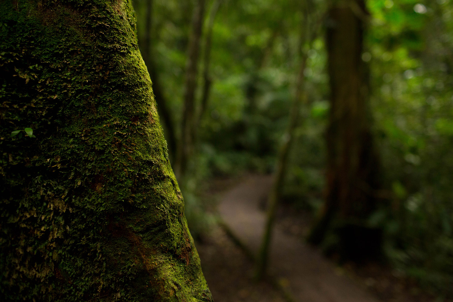 Costa Rica Wedding Photographer