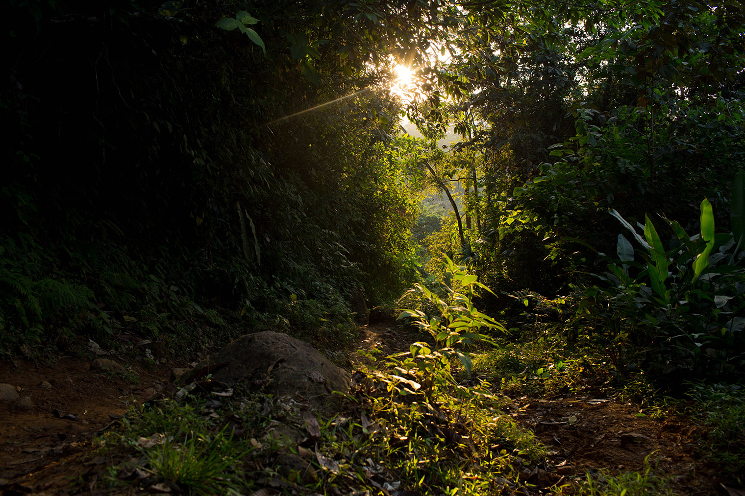 Costa Rica Wedding Photographer