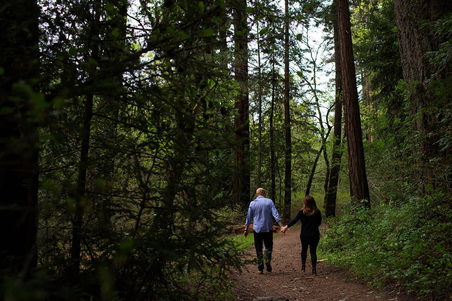 Napa Valley State Park Engagement Session