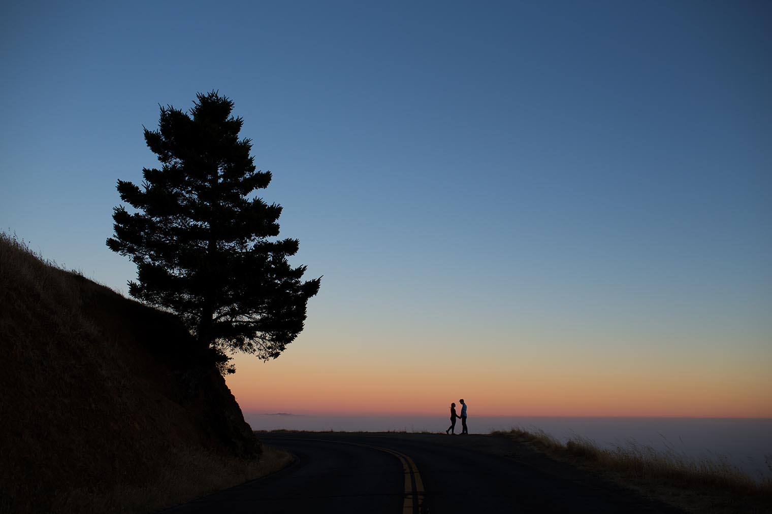 Mount Tamalpais State Park Engagement Photos