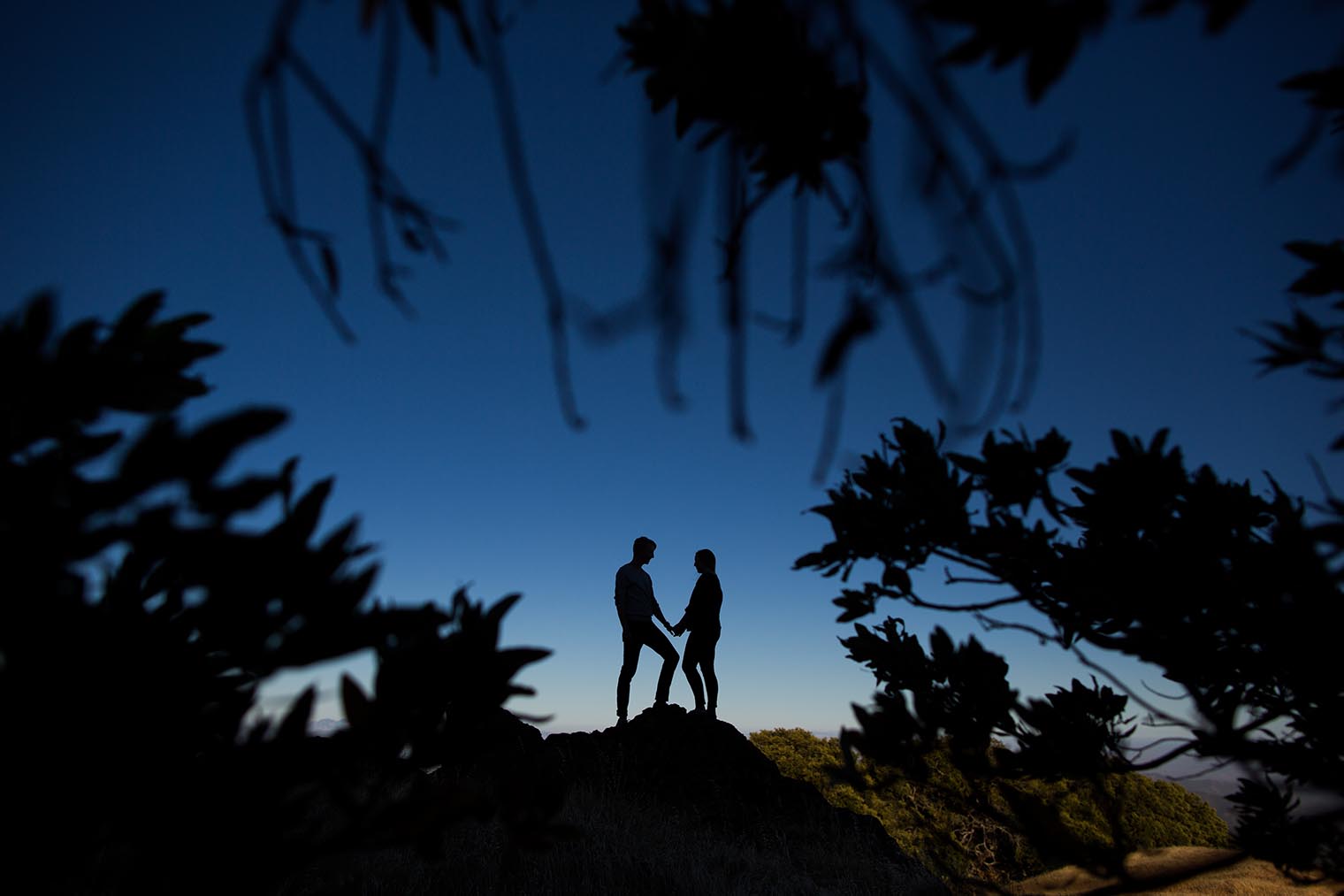 Mount Tamalpais State Park Engagement Photos