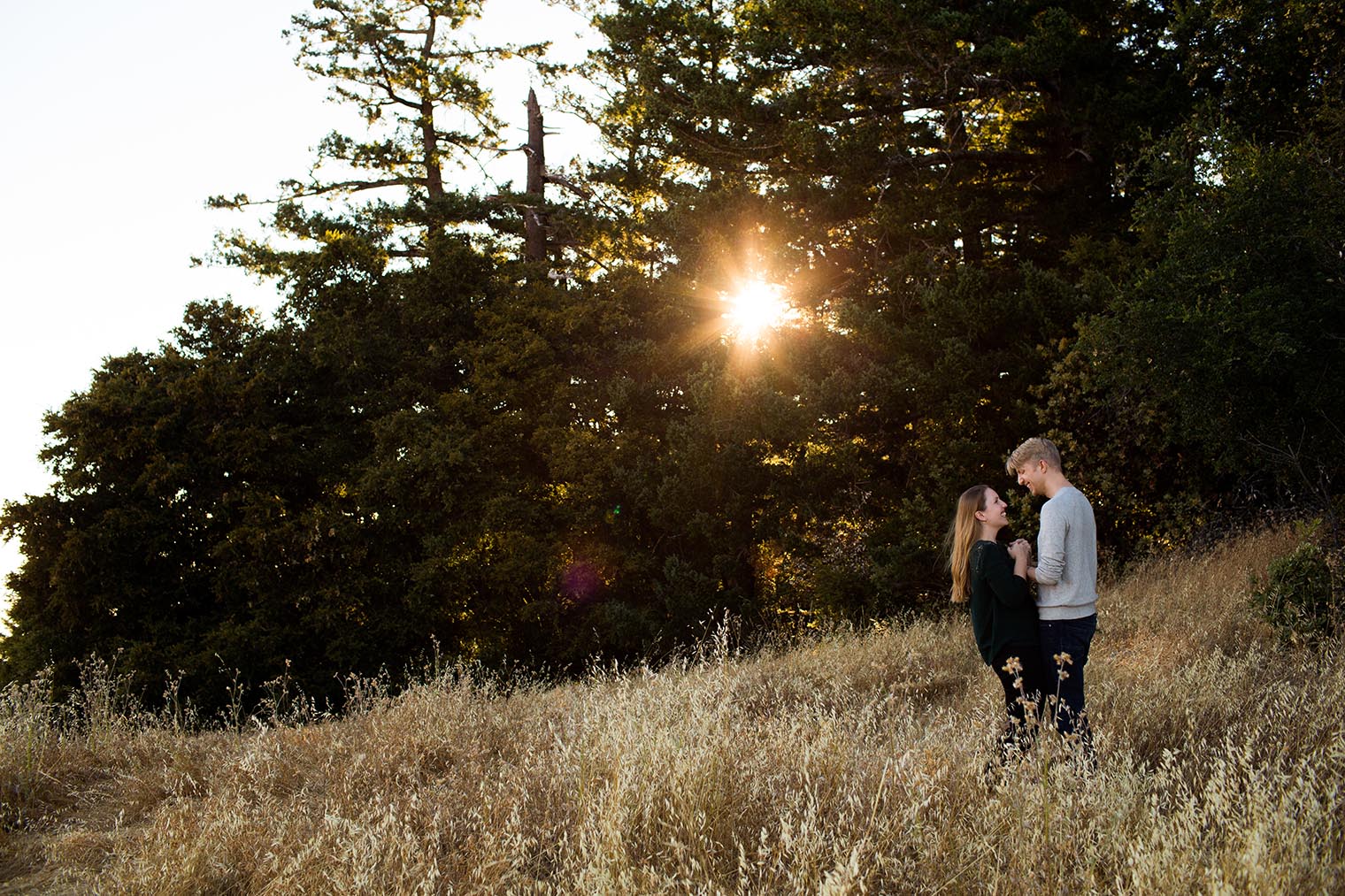 Mount Tamalpais State Park Engagement Photographer 