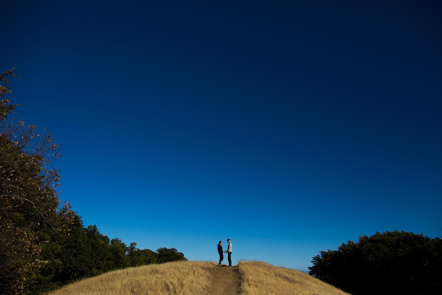Mount Tamalpais State Park Engagement Photos