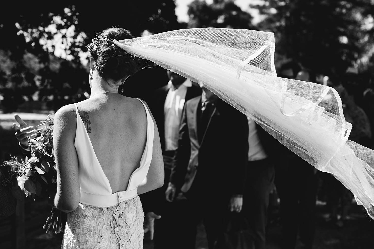 jack london state historic park wedding 