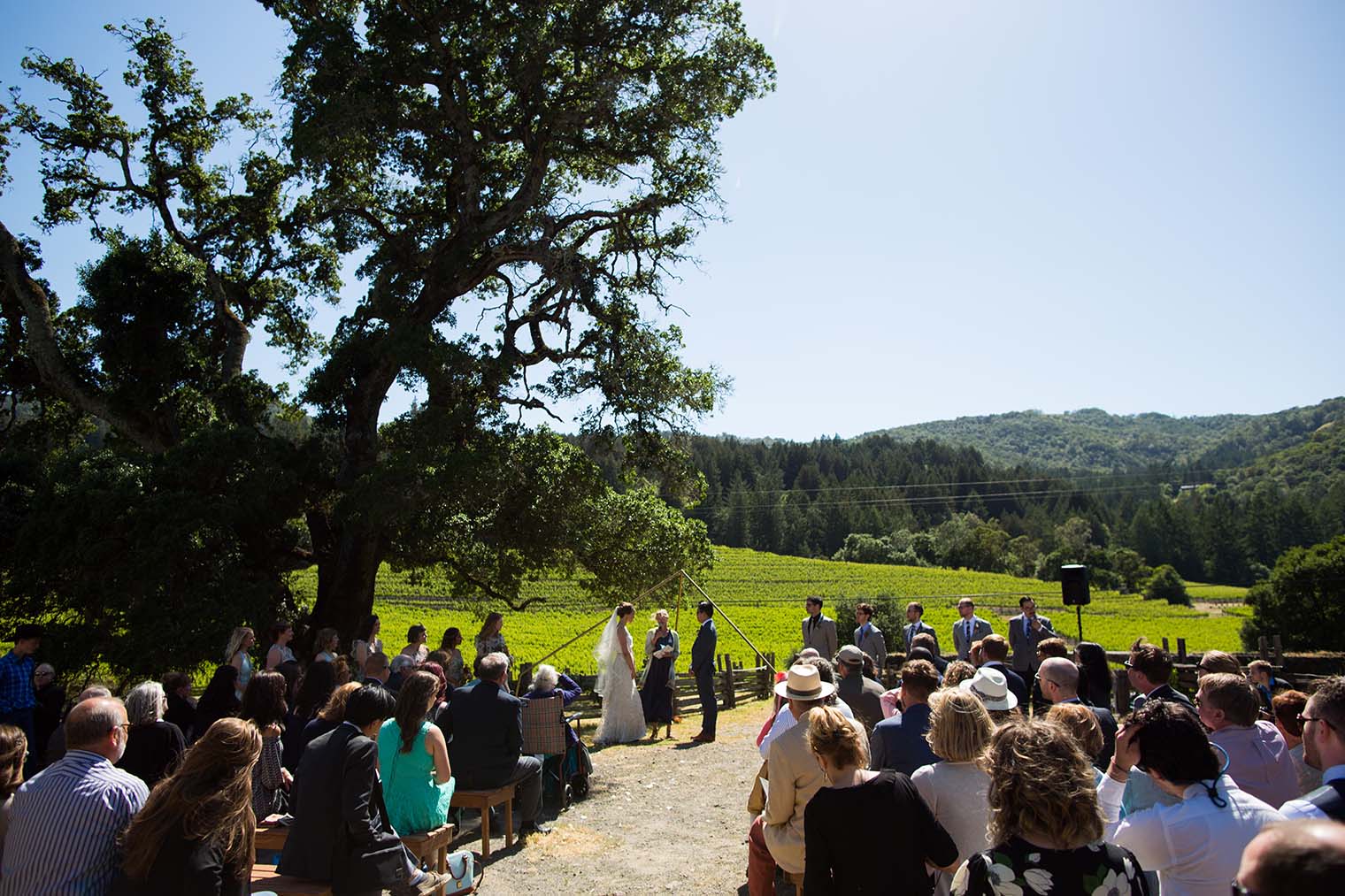 wedding ceremony at jack london state historic park 