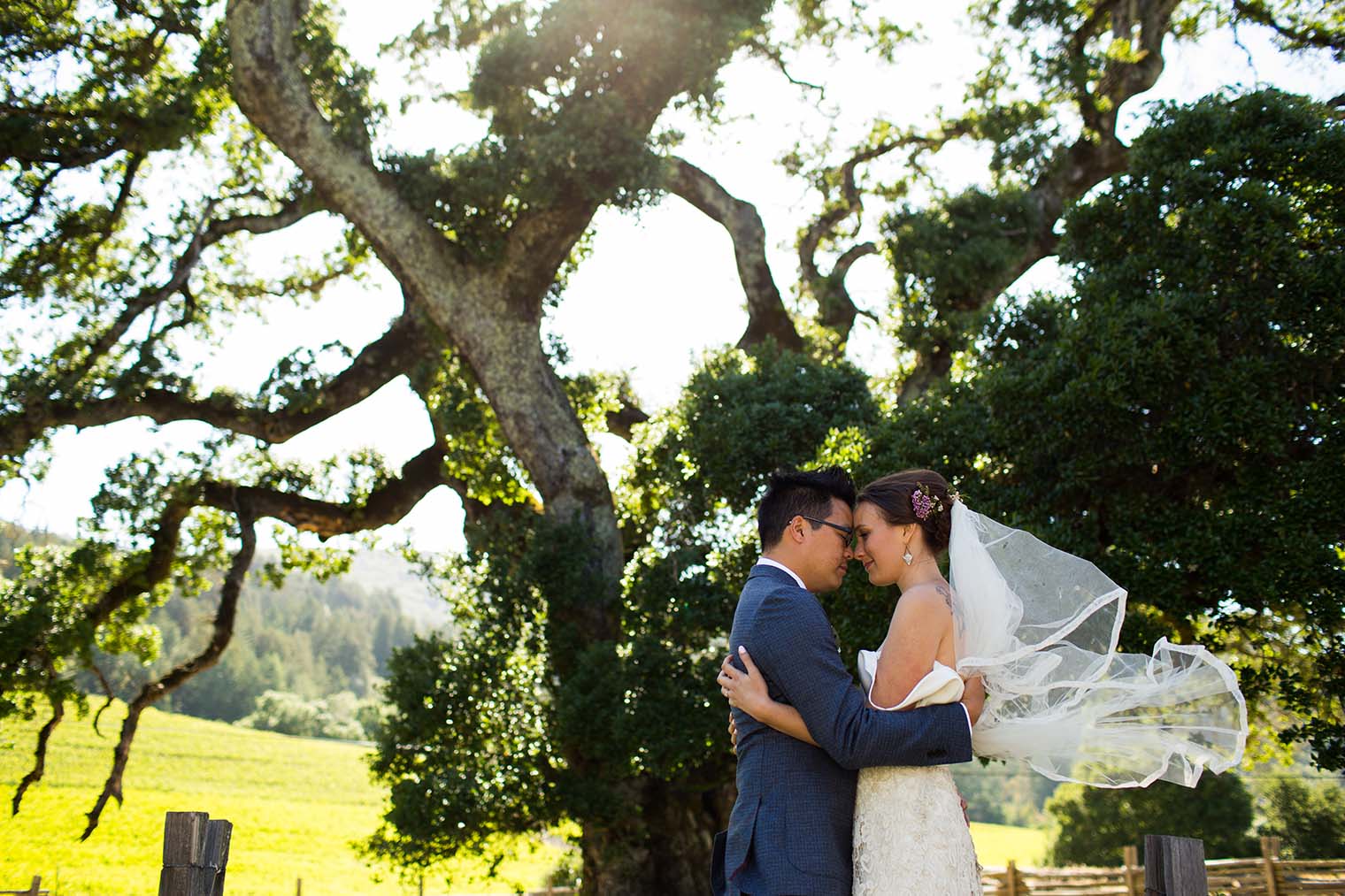 wedding photography at jack london state historic park