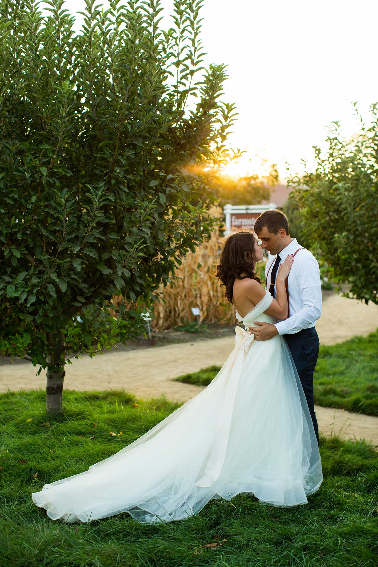 wedding portraits at farmstead at long meadow ranch wedding