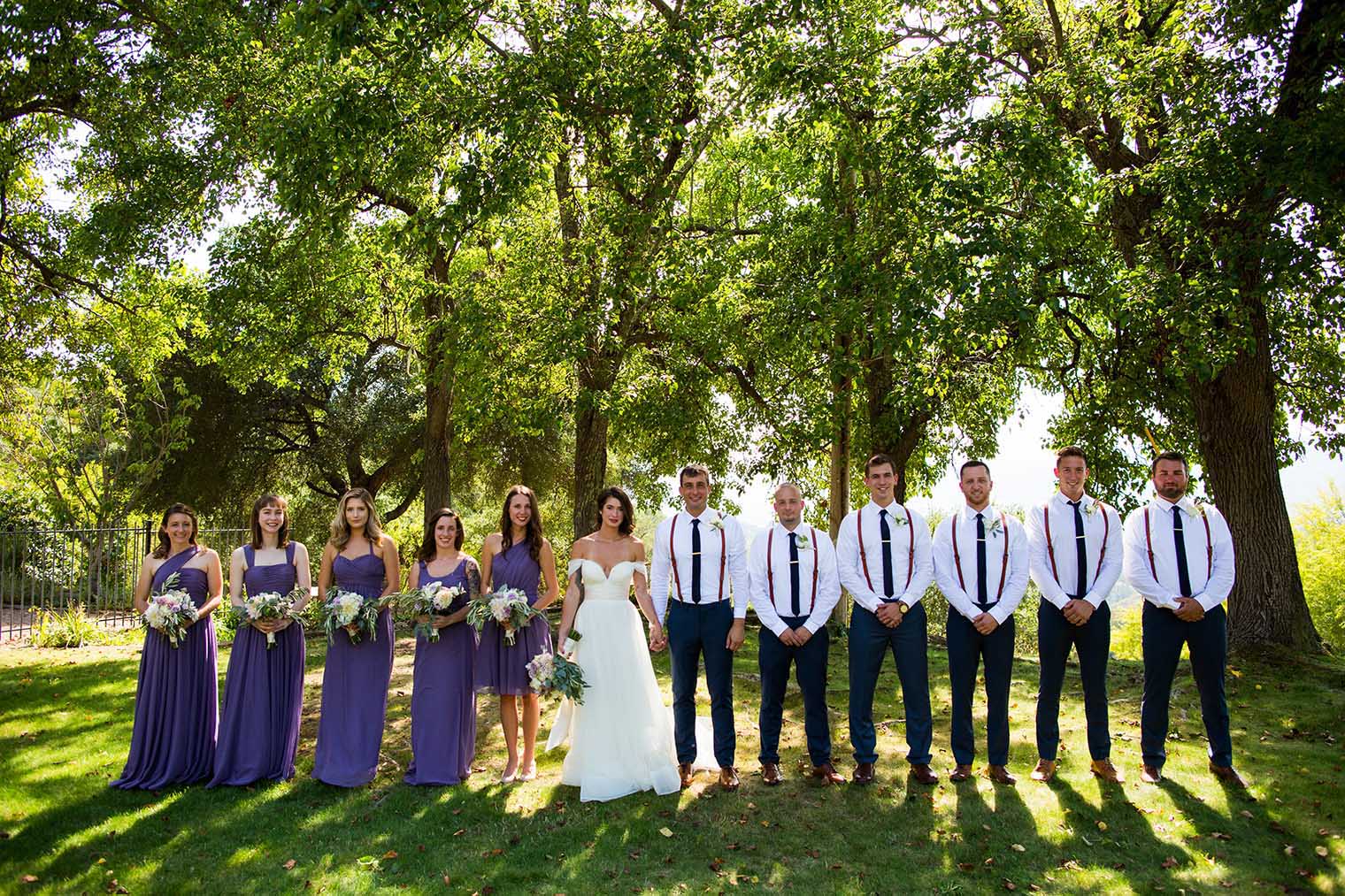 formal photo of bridal party