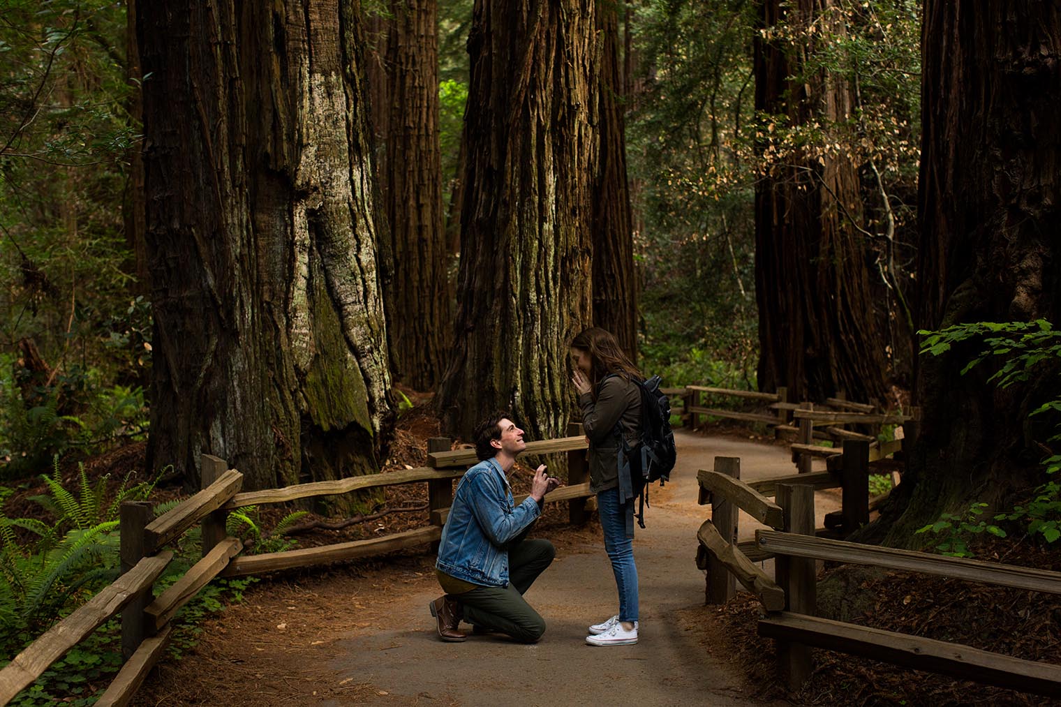 Muir Woods Proposal Photographer
