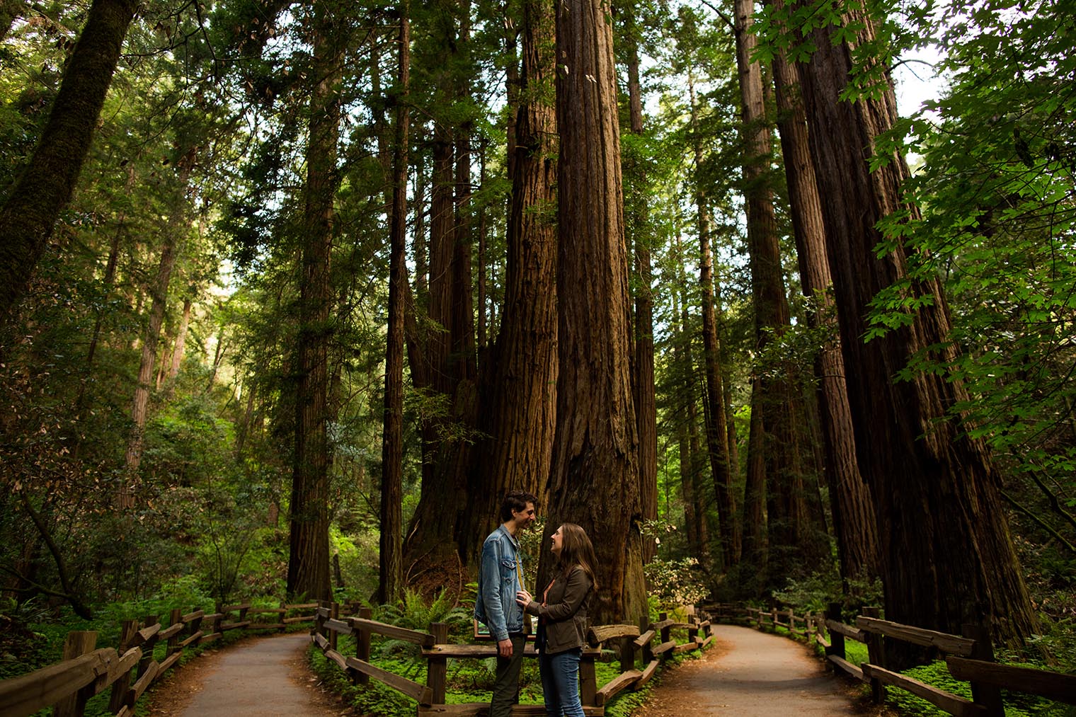 Muir Woods Proposal Photographer